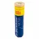 Dunlop Fort Padelballbox