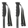 Masters Bastons