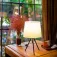 Aigostar Metal E14 (Without Light Source) bordlampe
