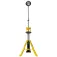 Dewalt Llanterna DCL079-XJ
