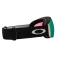 Oakley Flight deck l aurinkolasit