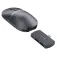 Protoarc CP013076 wireless mouse