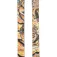 Völkl Sci alpini Revolt 84