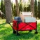 Aktive Folding beach wagon