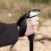 Aktive Ultralight pole