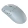 MSI Mouse FORGE GM340W