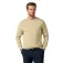 Hackett Moletom HM5800132