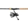 Zebco Carp 3000FS Karper Combo