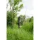 Zebco Carp 3000FS Carpfishing Combo