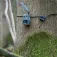 Zeiss Câble de sécurité Secacam