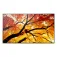 Sharp MultiSync M432 42.5´´ 4K IPS 모니터