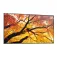 Sharp MultiSync M432 42.5´´ 4K IPS 모니터