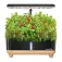 Rainpoint Fioriera verticale Hydroponic Growing Kit