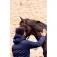 Equitheme K-Control Parka Vrouwenjas