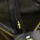 Pro elite baits Balde Eva Pro