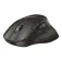 HP Mouse wireless B8YX4AA