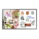 Samsung Flip Pro interactief touchbord