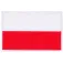 Elitex training Poland Patch