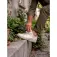 Ignyten® Lingettes Cleanquick