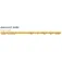 Golden catch Amullet Surfcasting sauva