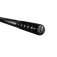 Golden catch Evolution Tele Karpfenrute