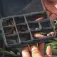 Golden catch LB-1510C Köderbox