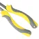Golden catch Longnose Bend Piht