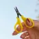 Golden catch Mini Braid Schaar