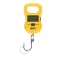 Golden catch Mini digital scale