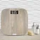 Tefal PP1600 Origin 저울