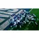 Nintendo Switch Madden NFL 27