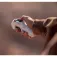 Antigravity A1 Infinity Bundle Drone