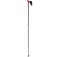 Rossignol Force 3 단장