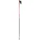 Rossignol Force 9 pole