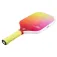 Joola Astral pickleball-maila