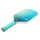 Joola Astral pickleball-padle