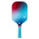 Joola Astral pickleball-setti