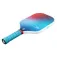 Joola Astral pickleball-setti