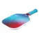 Joola Astral pickleballset