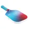 Joola Astral pickleballset