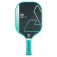 Joola Dash pickleball-padle