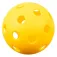 Joola Dash pickleballsett