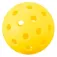 Joola Dash pickleballsett