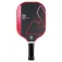 Joola Dash pickleballset
