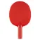 Joola Set da ping pong Multicolor BAT