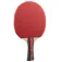 Joola Set da ping pong Rosskopf