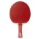 Joola Team Junior table tennis racket