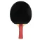 Joola Team Junior table tennis racket