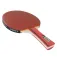 Joola Team Junior table tennis racket