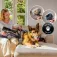 Cecotec Rockstar RS90 Pet Flex Detect Kostesuger